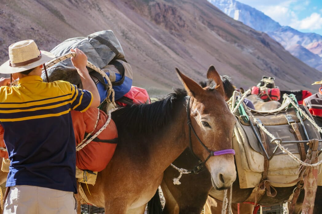 Buchen Sie mit uns Ihre Traumreise auf den höchsten Berg Amerikas