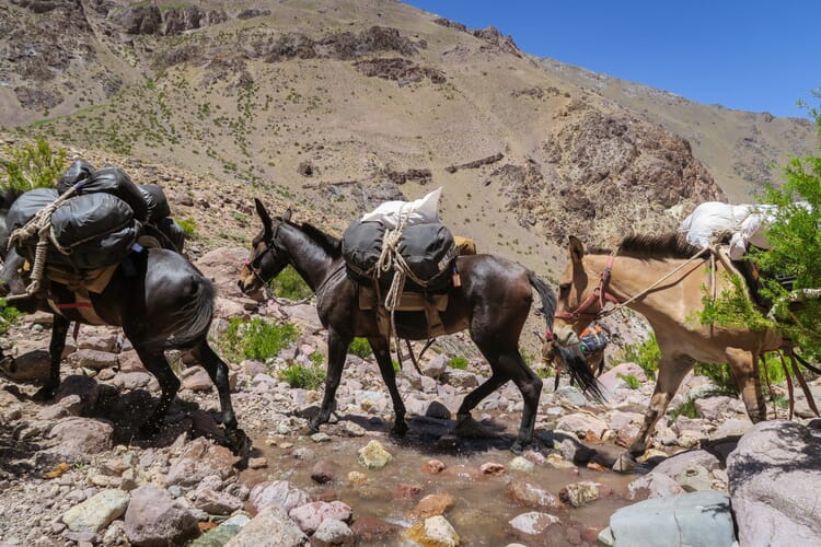 Tag 2 Von Puente de Inca ins Herz der Anden