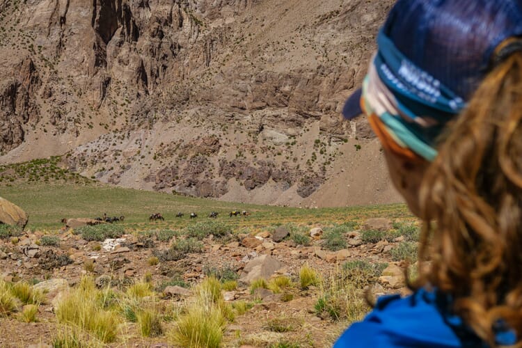 Tag 3 Der erste Blick auf einer der Seven Summits