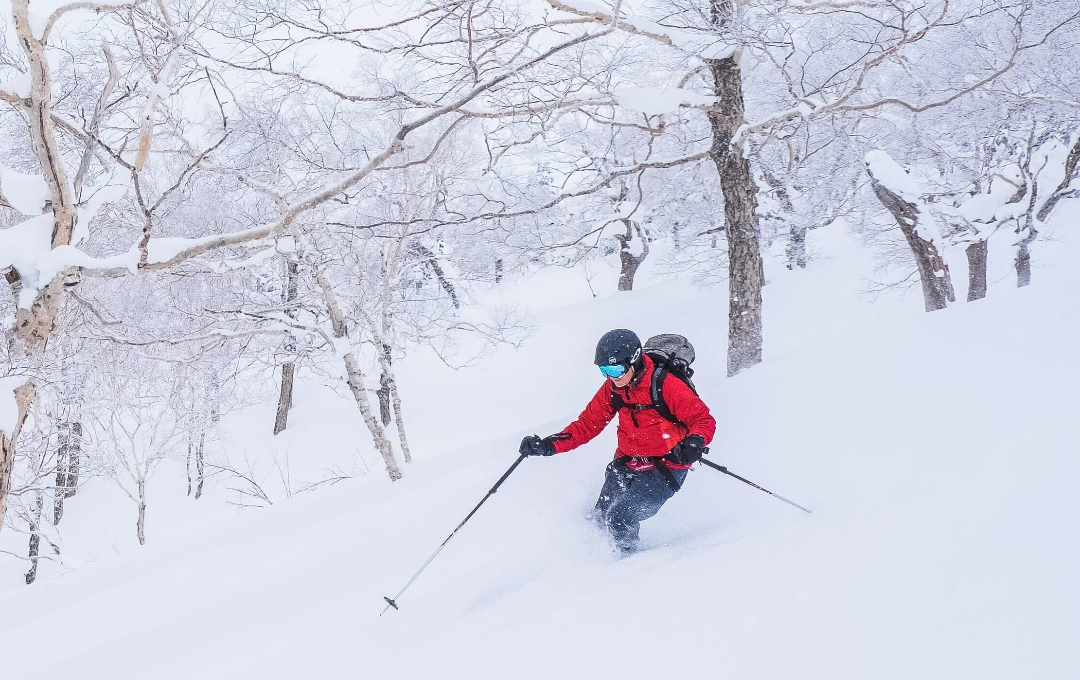 Freeridetouren-Reise Hokkaido