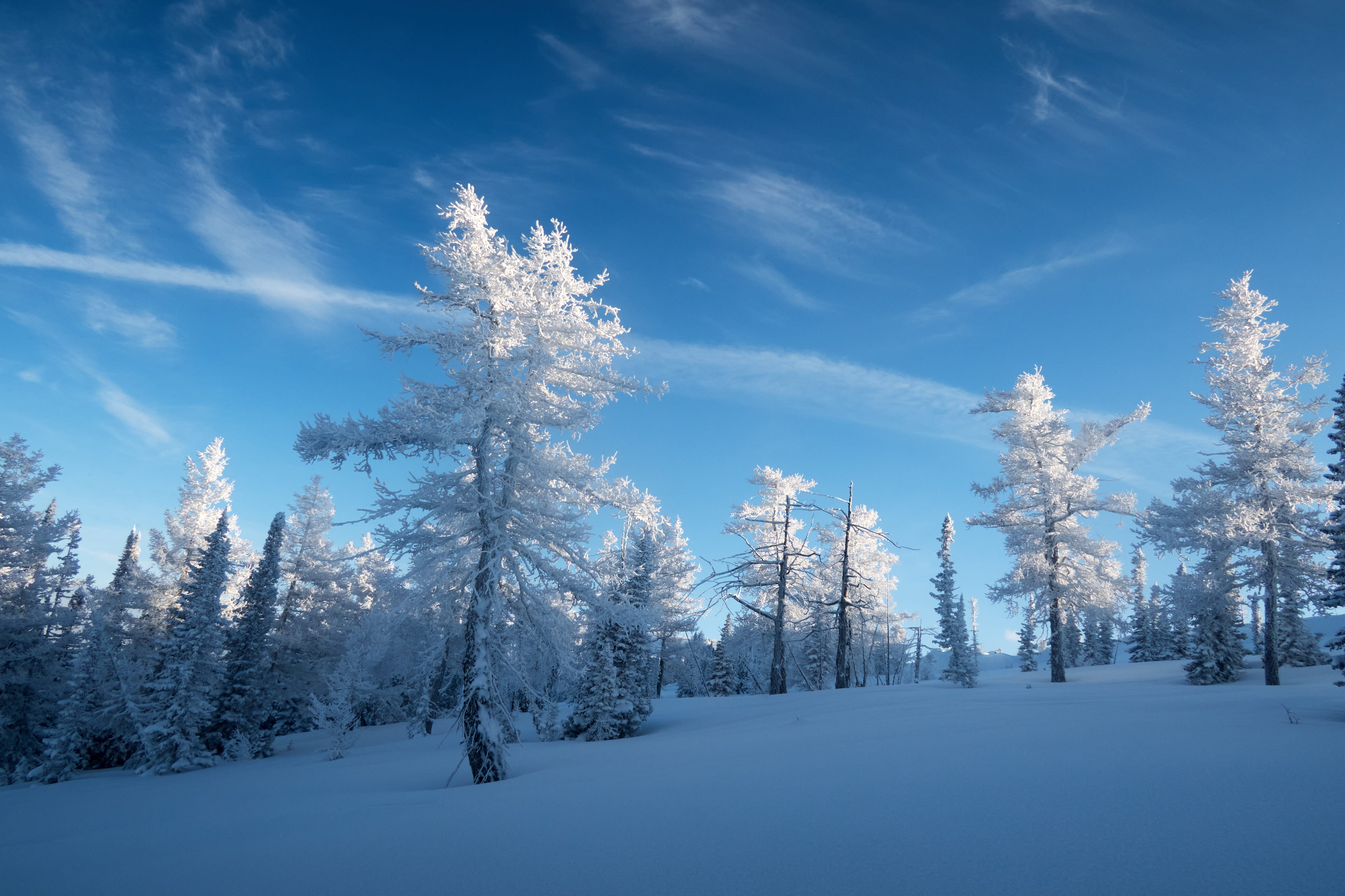 Skitourenreisen Zentralasien
