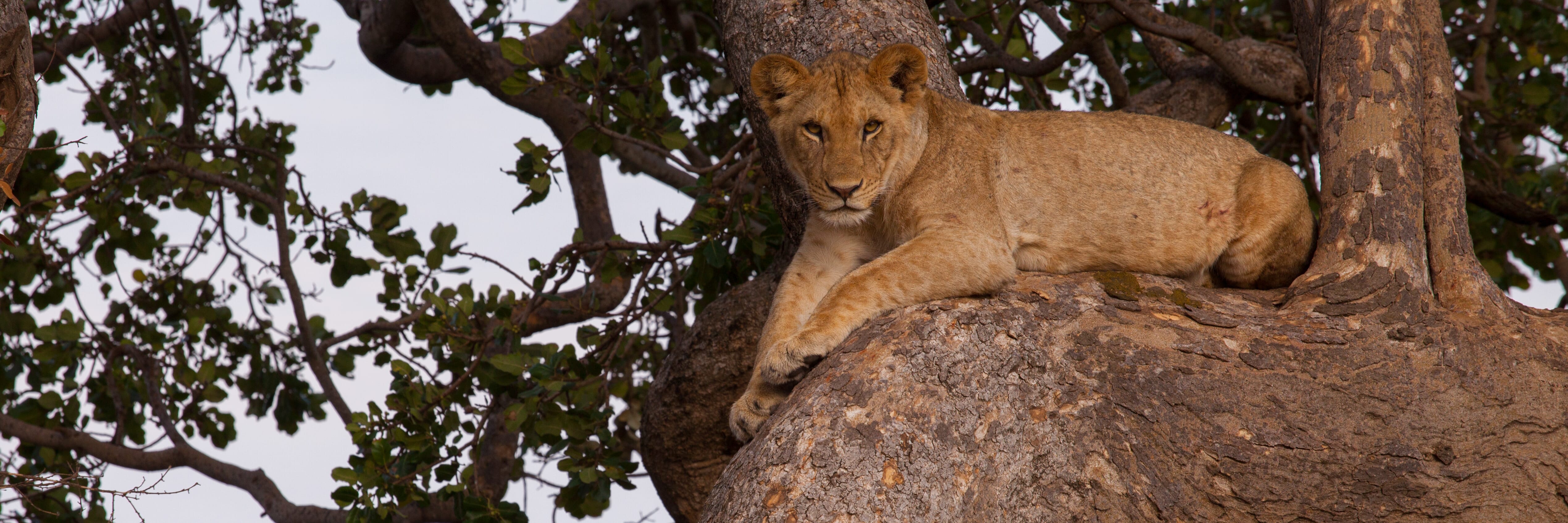 Trekkingreisen Afrika