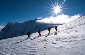 Skitour Steingletscher-Sustenhorn 3502m