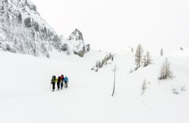 Skitour zum Wildhorn 3247m 4+1