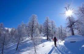 Skitouren über dem Naturpark Binntal