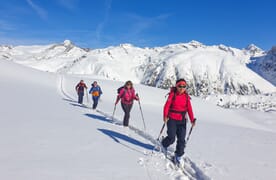 Skitouren im Schnee-Eldorado Goms 4+1