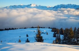 Schneeschuhtour in der Surselva 4+1