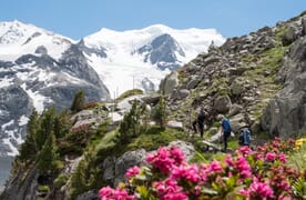 Hochtour Piz Bernina, Piz Palü und Bellavista