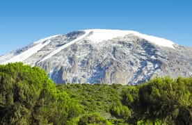 Kilimanjaro: Lemosho Route und Safari 