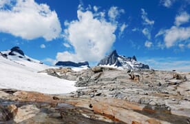 Expeditionsvorbereitung Basecamp Urner Alpen