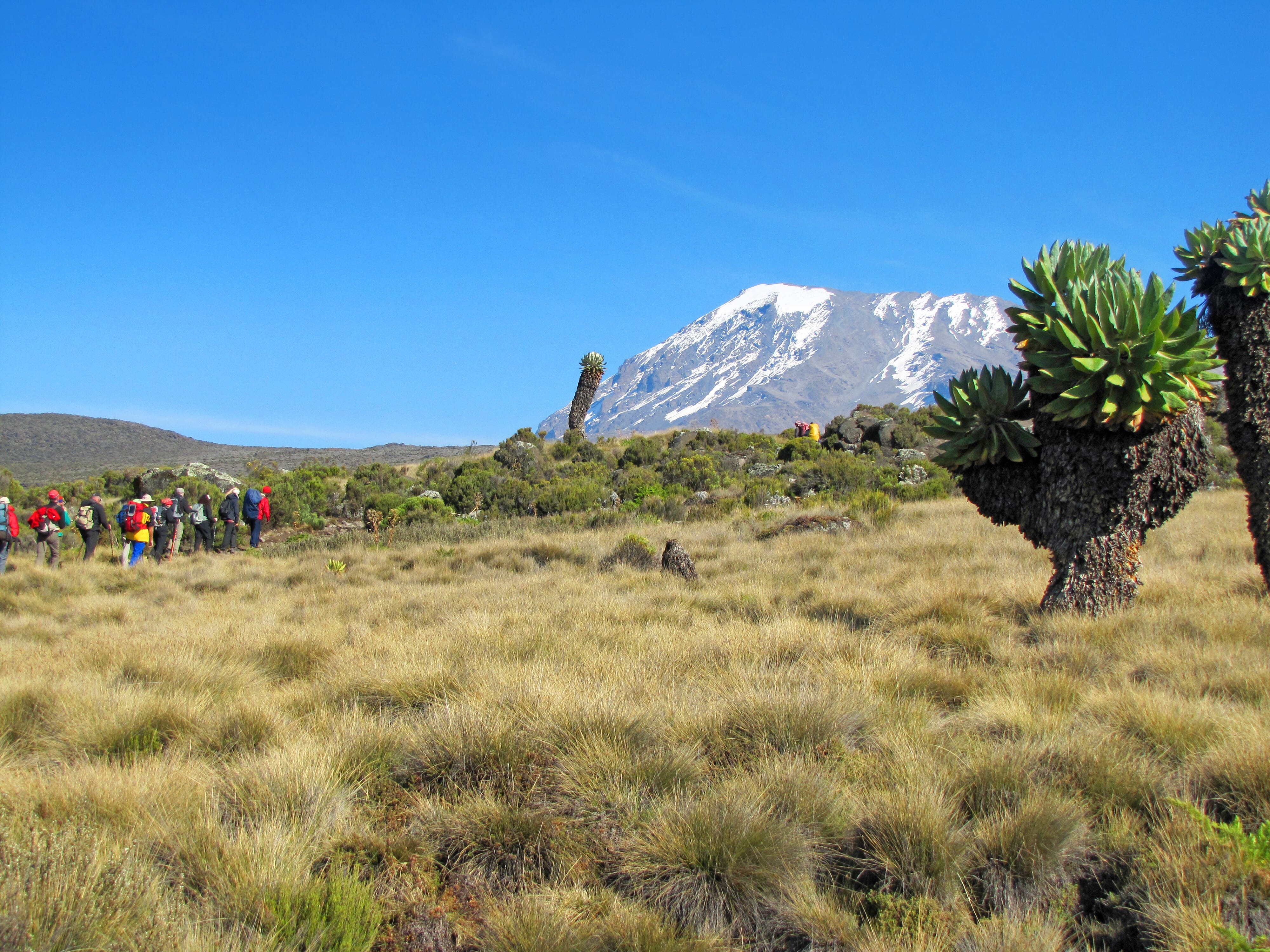Kilimanjaro und Mount Meru mit Bergführer ab der Schweiz