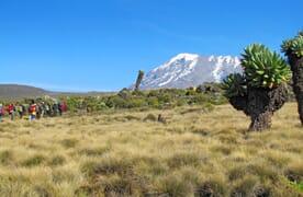 Kilimanjaro und Mount Meru mit Bergführer ab der Schweiz