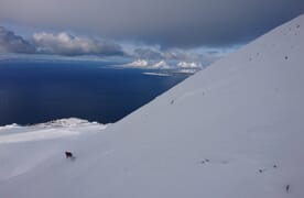 SKI & SAIL von Harstad nach Tromsö - Vägsfjord, Senja, Balsfjord