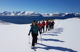 Schneeschuhtourenreise Trollhalbinsel, Island