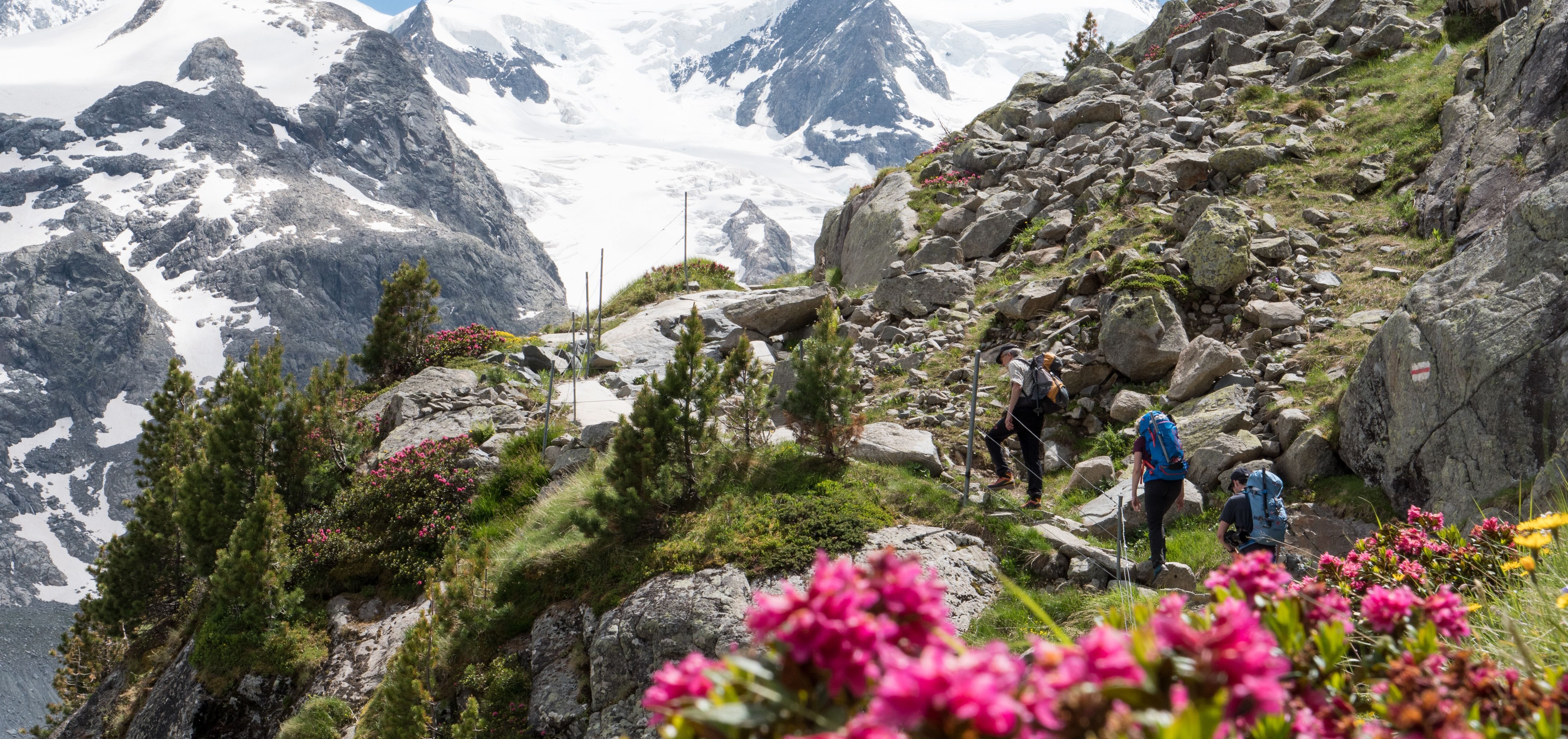 Alpinwanderung Überschreitung Giswilerstock-Schafnase-Rossflue