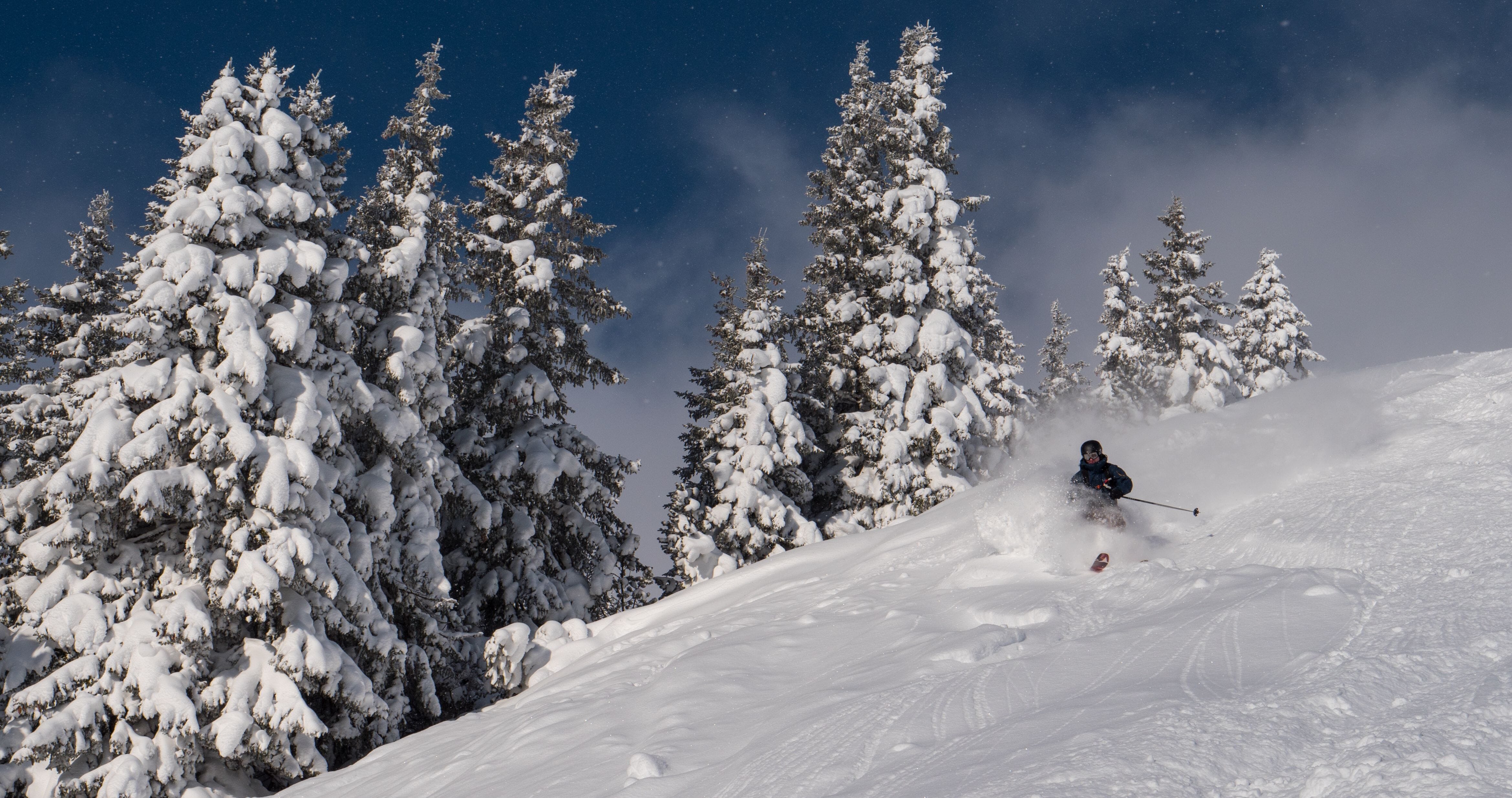 Freeride Best of Davos