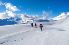 Grundkurs Schneeschuhtouren Flumserberge 4+1