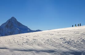 Skitour im Lötschental (Ski/Board) 4+1
