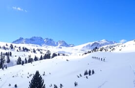 Ski- und Snowboardtouren und Yoga im Münstertal