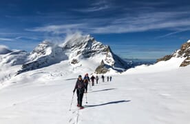 Schneeschuhtour Walcherhorn 3692m und Louwihorn 3777m