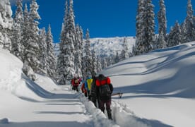 Schneeschuhtour Maienfelder Furgga 2434m 4+1