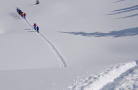 Schneeschuhtouren rund um die Saoseohütte