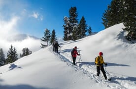 Schneeschuhtouren und Yoga im Münstertal 4+1