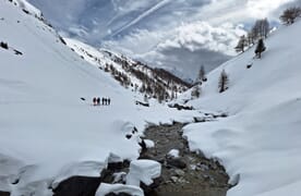 Schneeschuhtour Silvretta Haute Route