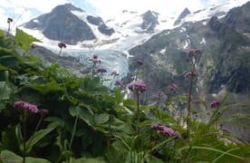 Gletschertrekking Trift- und Rhonegletscher