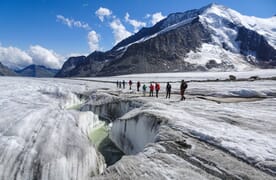 Privatgruppe Simon - Gletschertrekking Grosser Aletschgletscher