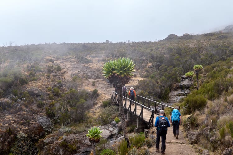 Pole Pole zum Gipfel: Mount Meru und Kilimanjaro