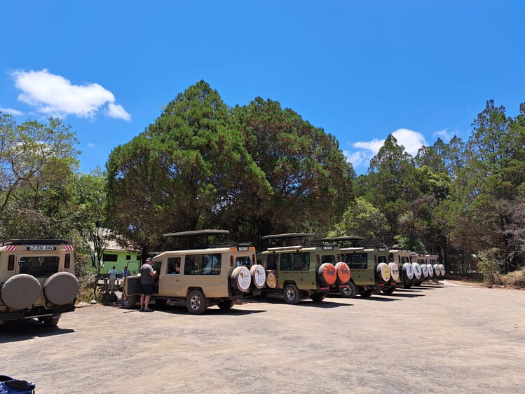 Pole Pole zum Gipfel: Mount Meru und Kilimanjaro