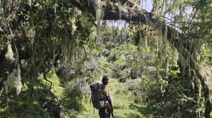 Pole Pole zum Gipfel: Mount Meru und Kilimanjaro
