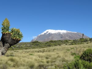 Expeditionen mit erfahrenen Bergführern