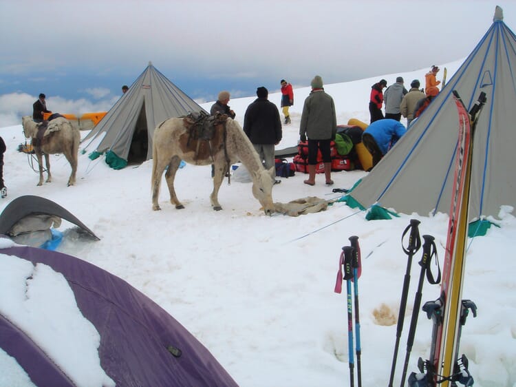 Geführte Ski Expeditionen mit Bergführer*in