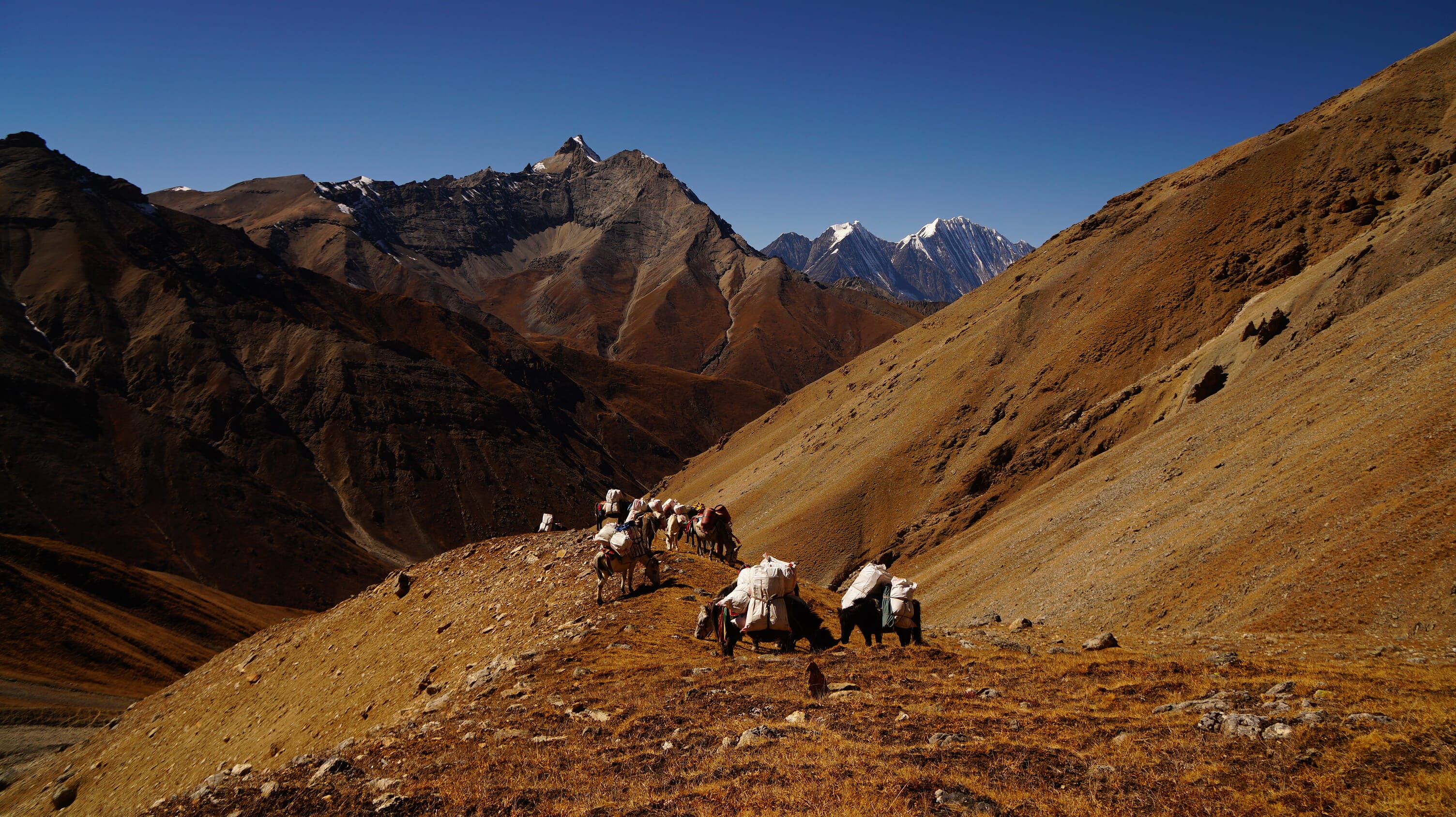 Unteres und Oberes Dolpo, Trekking im Westen Nepals