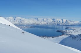 Skitourenreise nach Island