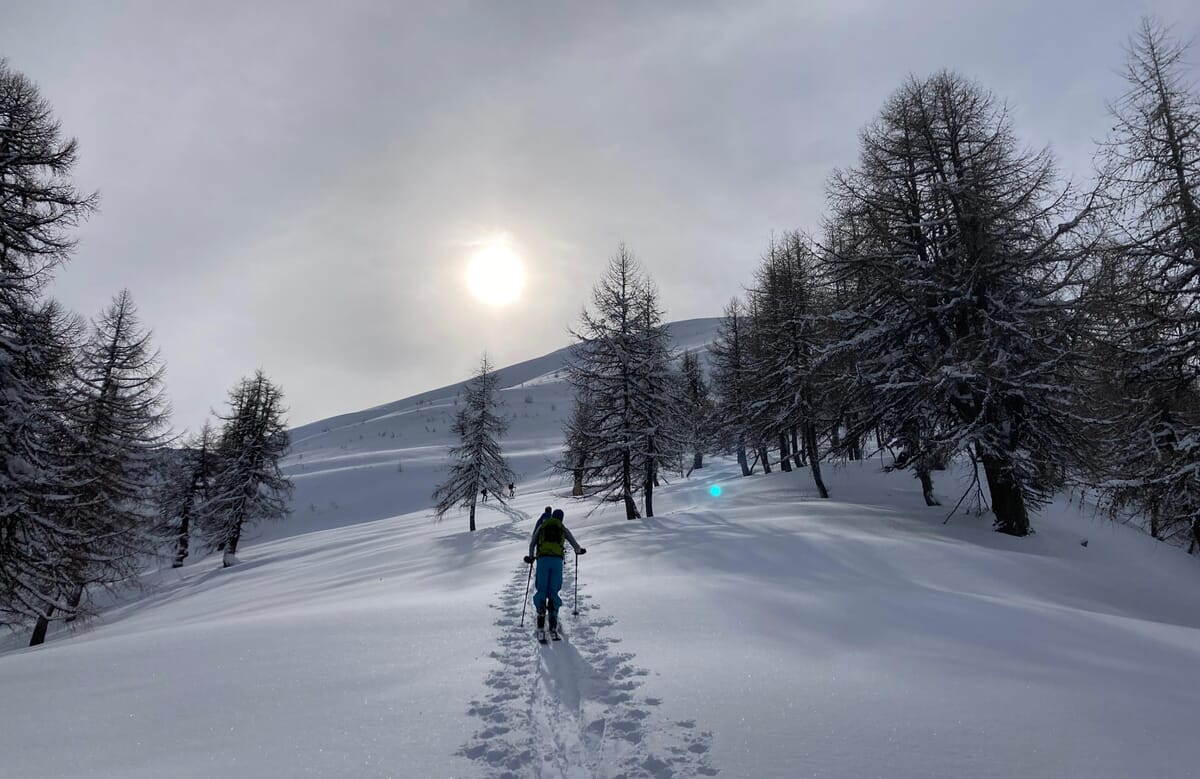 Skitourengeher:innen in offenem Lärchenwald im Goms Wallis