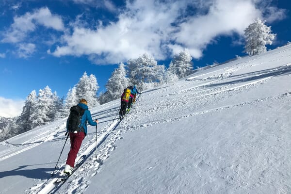 Skitourengeher:innen im Aufstieg in frischem Schnee bei Sonnenschein