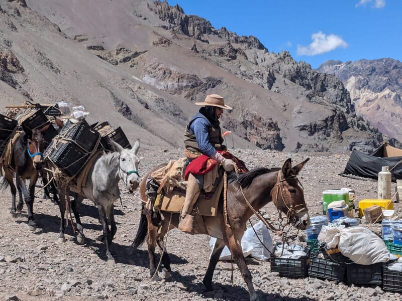 Packesel mit Reiter, unterwegs ins Basecamp