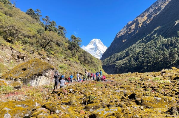 Gruppe im Aufstieg durch grüne Vegetation, Mera Peak im Hintergrund