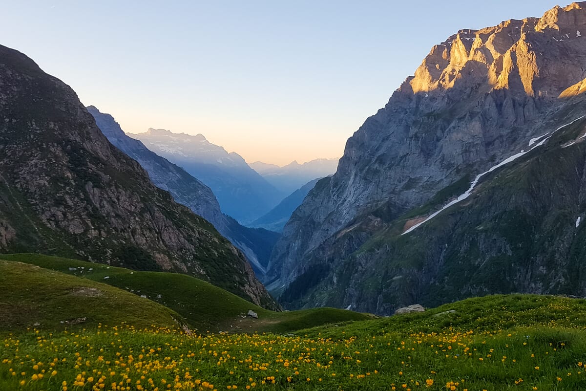 Berglandschaft bei Sonnenuntergang mit Blumenwiese.