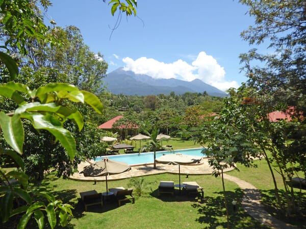 Garten mit Pool und Bergblick bei Lodge während Kilimanjaro Trekking.