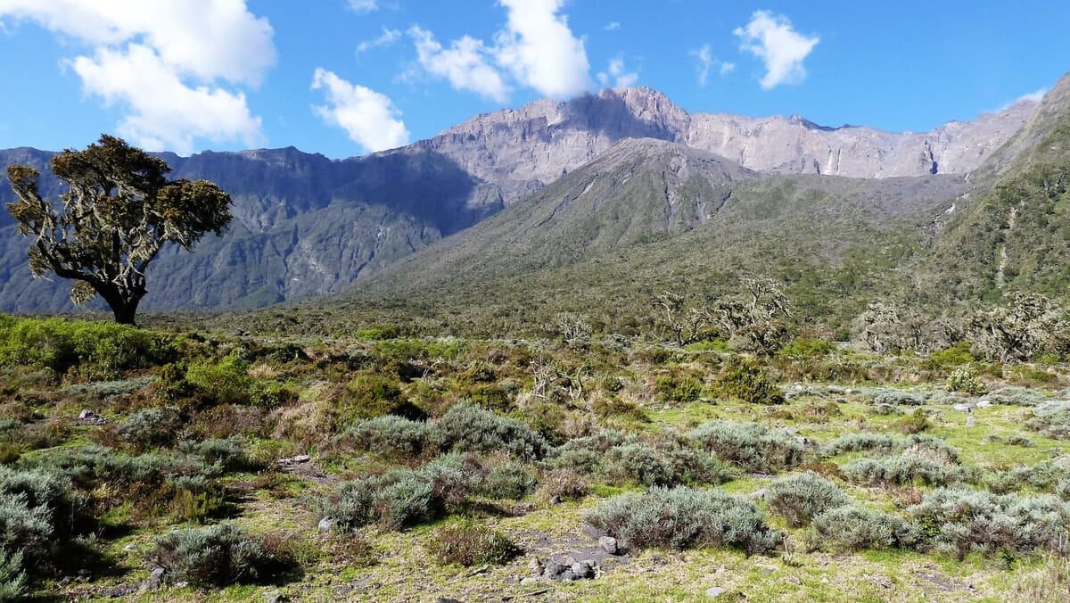 Berglandschaft mit Mount Meru mit Baum und blauem Himmel