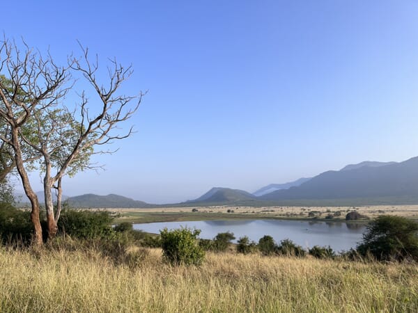 Landschaft mit Baum, Wasser und Bergen.