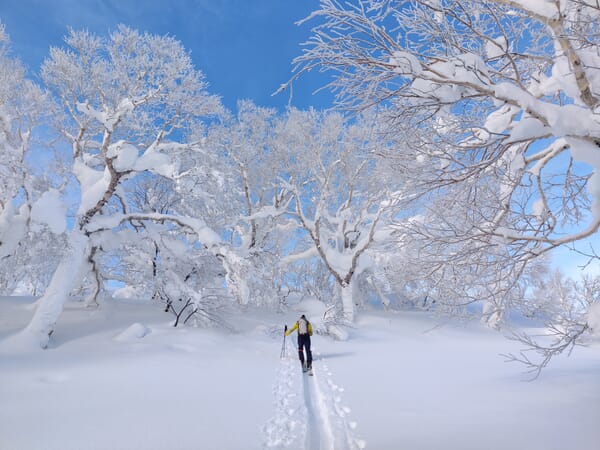 Person auf Skitour in Japan