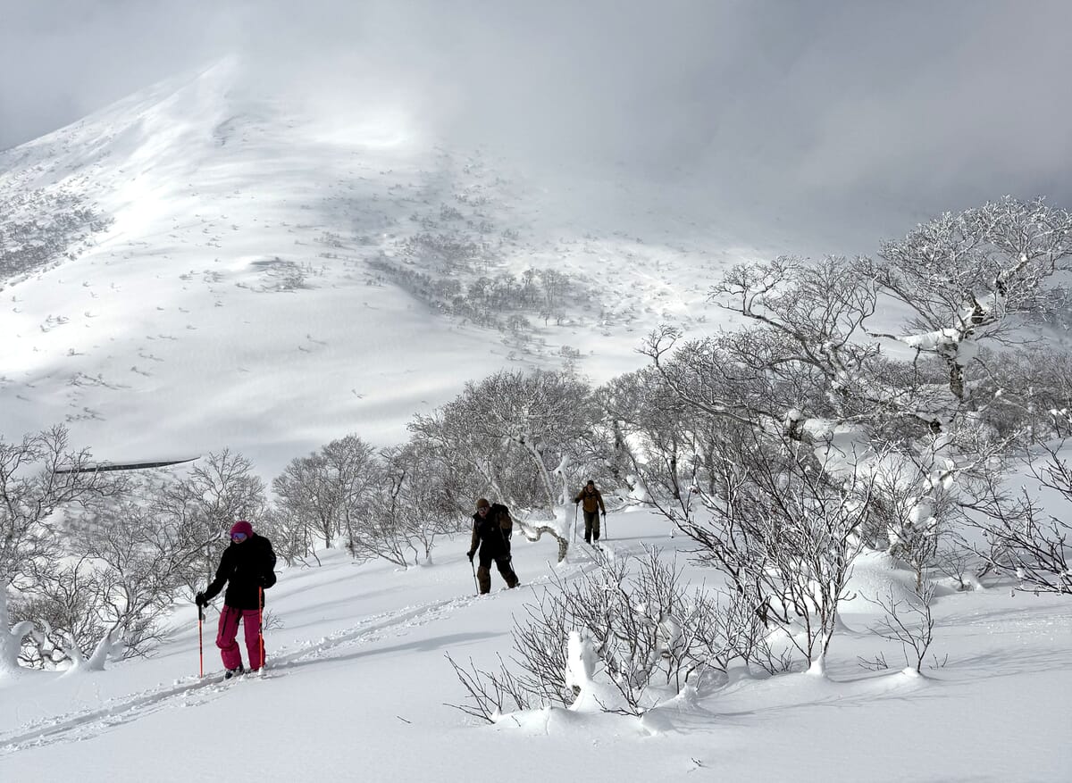Skitourengeher im verschneiten Japan