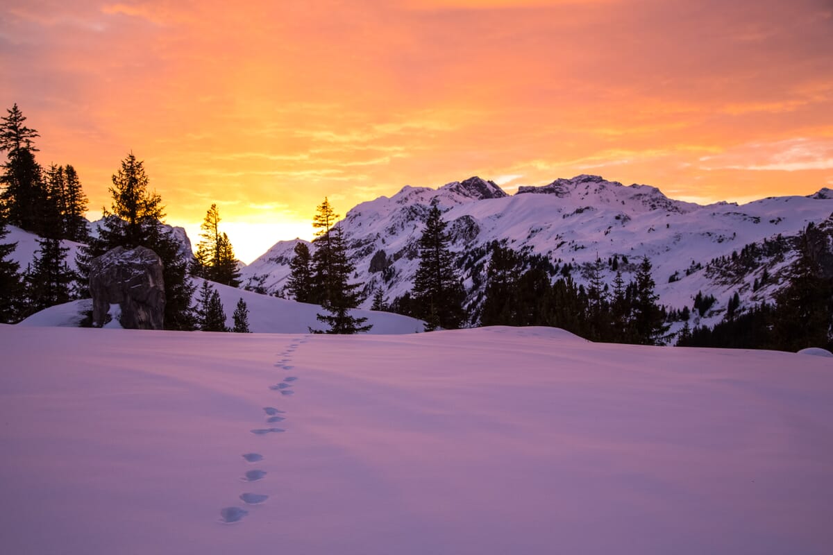 Schneeschuhtouren Engstlenalp, verschneite Winterlandschaft im Morgenrot, schneesicheres Gebiet