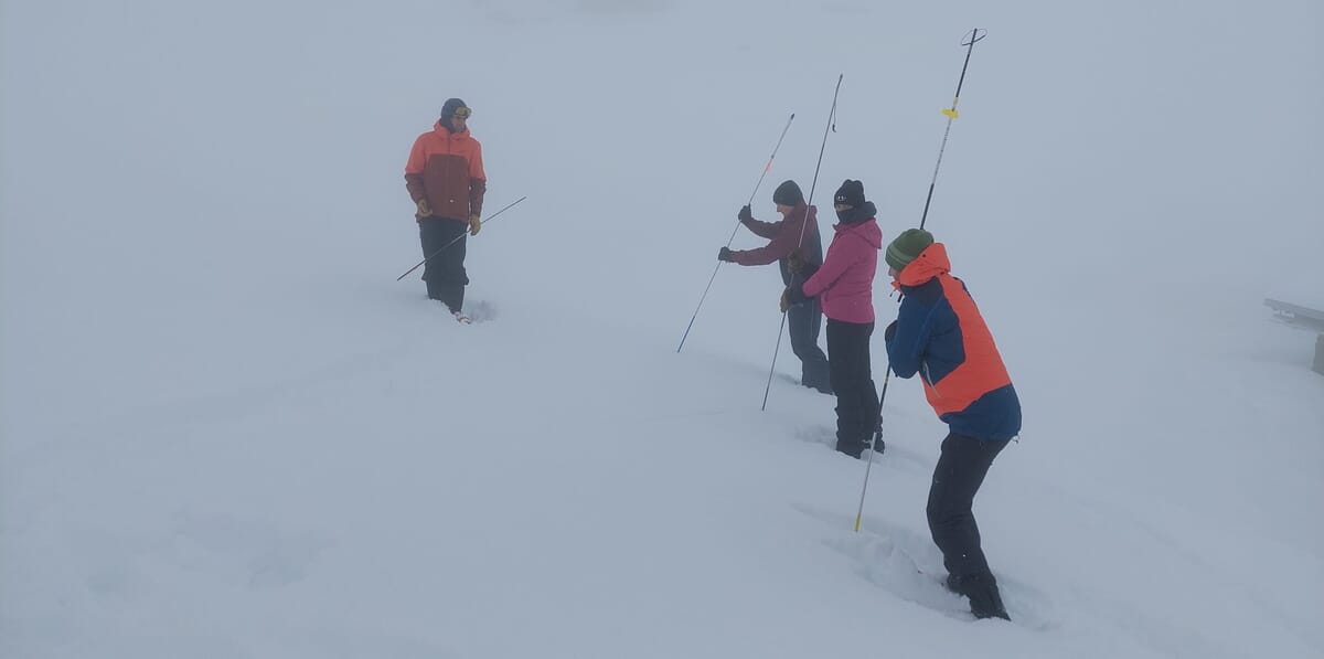 Drei Teilnehmende am Sondieren, Lawinenkurs, Bergführer